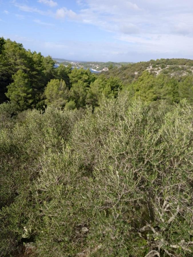 Svema Apartman Vela Luka Zewnętrze zdjęcie